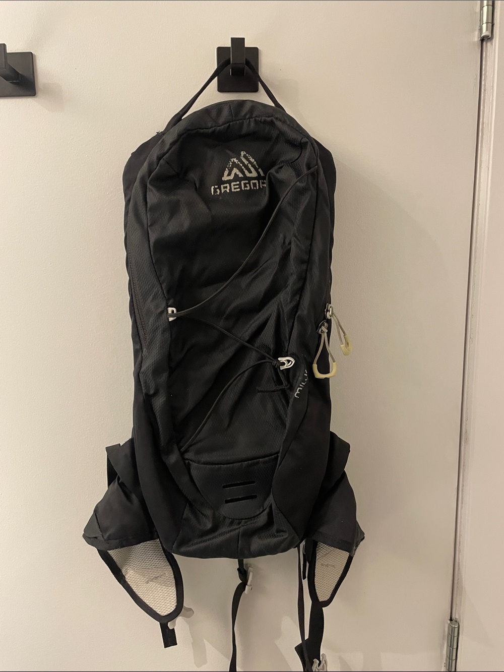 Gregory Black Hydration Daypack with External Bungee